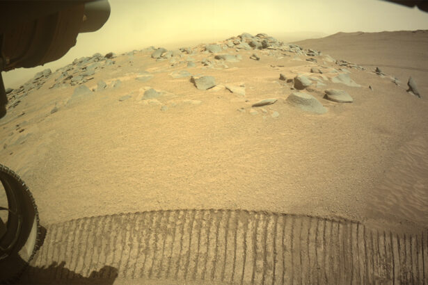 NASA’s Perseverance rover found a new potential setting for Martian life