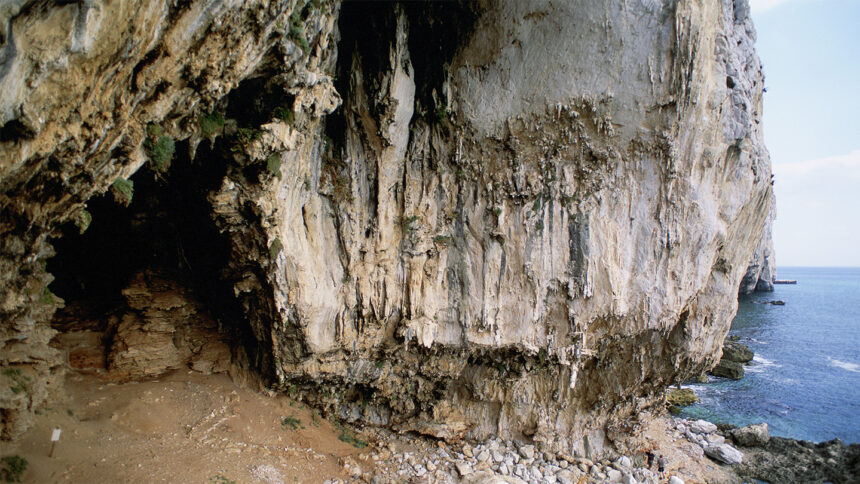 The opening of a cave along an ocean coast.