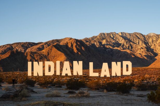 a large-scale installation in the desert resembling the Hollywood sign that reads "INDIAN LAND"