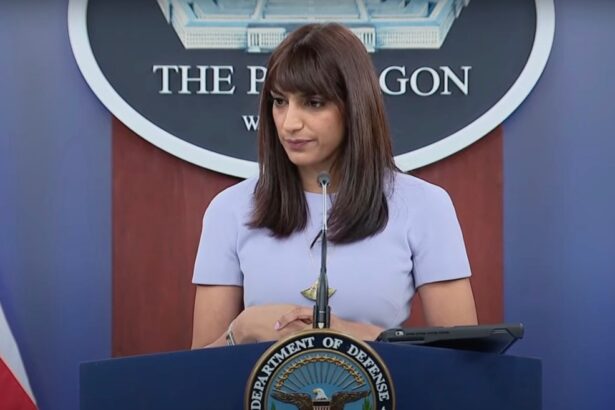 Pentagon doesn’t know where mystery drones over New Jersey come from