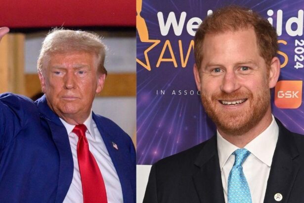 Prince Harry ‘Panicked Over Being Booted Out of U.S. By Trump’