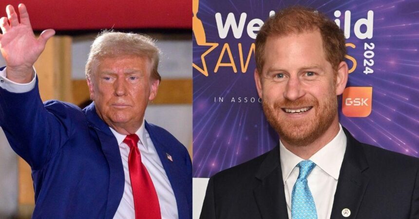 Prince Harry 'Panicked Over Being Booted Out of U.S. By Trump'