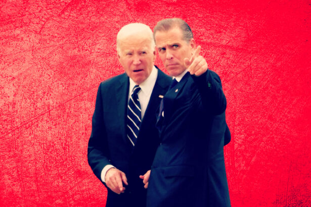 REPORT: Some Democrats So Furious About Hunter Biden Pardon They're Threatening to Withhold Funding for Biden Library | The Gateway Pundit