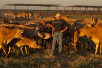 Raw Farm Is Doubling Down On Selling Raw Milk At Scale