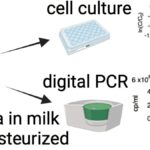 Refrigerated raw milk harbors infectious flu virus for 5 days, study finds