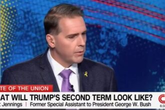 Scott Jennings Continues to Sink Leftist Hearts at CNN — Tells Network Hacks: “You Can Start to Feel the Green Shoots of Optimism” (VIDEO) |