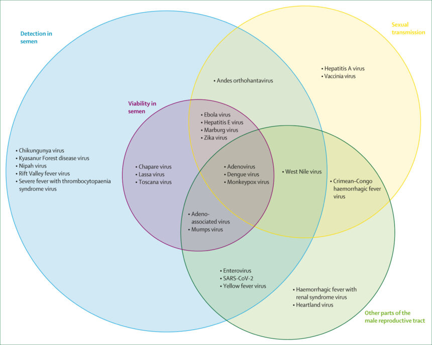 Semen study finds more pathogens capable of sexual transmission