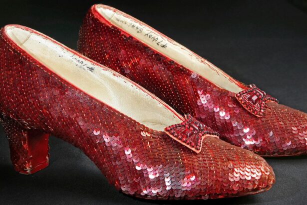 Stolen Ruby Slippers Worn By Judy Garland In ‘The Wizard Of Oz’ Auctioned For  Million