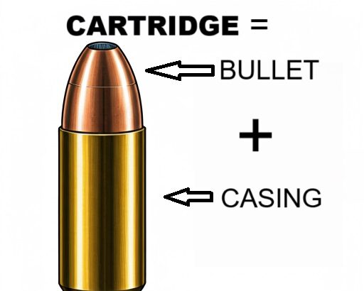 Synecdoche, Bullets, and Politics – Econlib