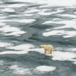 The Arctic Could Be Functionally Ice-Free in Just a Few Years