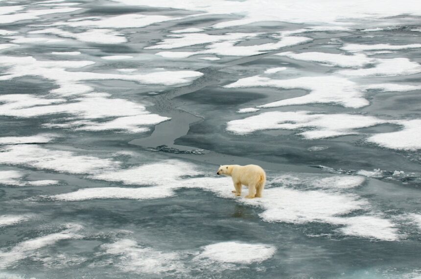 The Arctic Could Be Functionally Ice-Free in Just a Few Years