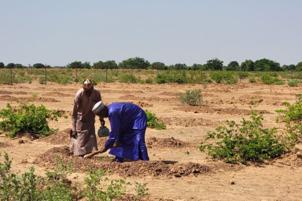Three-quarters of the world’s land is drying out, ‘redefining life on Earth’