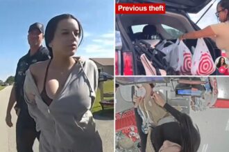 TikToker Marlena Velez arrested for second Target theft