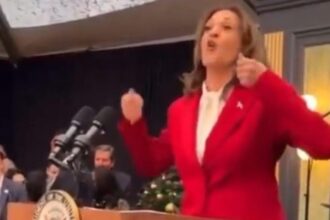 Too Much Eggnog? Kamala Harris Looks Sloshed at Christmas Party in DC (VIDEO) | The Gateway Pundit