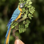 paper cutout artworks of a macaw sitting on a branch, held by the artist's hand to show tiny detail