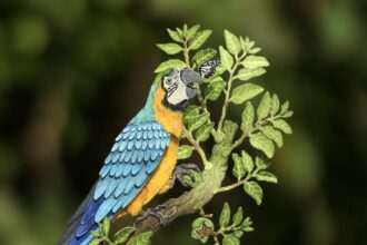 paper cutout artworks of a macaw sitting on a branch, held by the artist's hand to show tiny detail