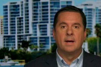 Devin Nunes talks Trump raid on Fox News's Sunday Morning Futures