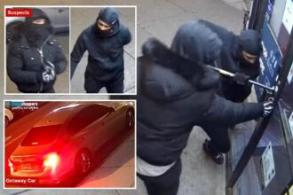 Video shows bumbling burglars using crowbar to break into NYC drug store — but they fled empty-handed