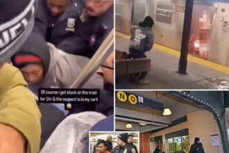 Video shows moment cops swarm train to arrest migrant accused of setting subway rider on fire