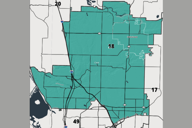 WAGOP files lawsuit disputing 18th LD state senate general election race |