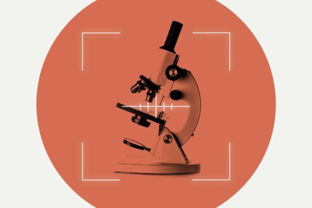 ‘Waging war on science’: Researchers worry about their jobs under Trump 2.0