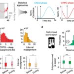 Wearables reveal happiest times to sleep