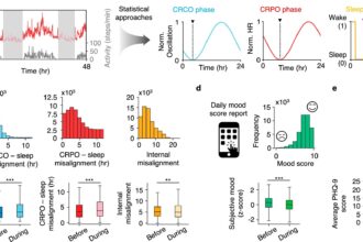 Wearables reveal happiest times to sleep