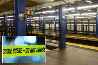 Whacko shoves elderly man onto NYC train tracks in surprise attack then blurts out, 'I didn't do it': sources