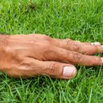 What happens to our bodies when we touch grass