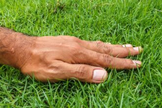 What happens to our bodies when we touch grass