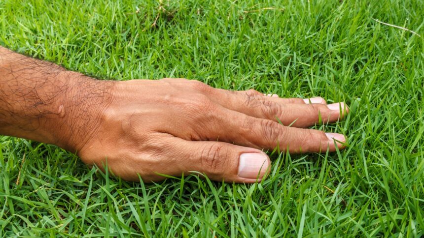 What happens to our bodies when we touch grass