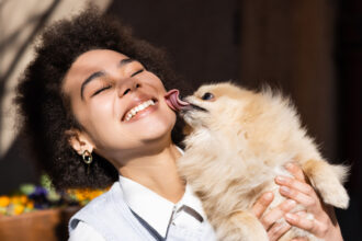 dog kissing human licking face