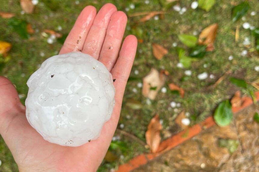 Why scientists scanned giant hailstones in a dentist's office