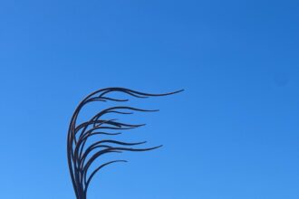 Windswept sculpture lands at Silverstream