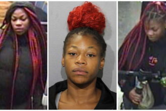 Woman was part of five-person mob that mugged Red Line passengers, prosecutors claim