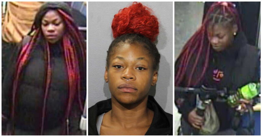 Woman was part of five-person mob that mugged Red Line passengers, prosecutors claim