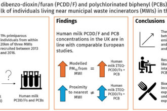 Women exposed to municipal waste incinerator emissions show small increase in breast milk pollutants