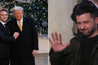 World War 3 Avoided? Trump and Emmanuel Macron Meet President Zelensky