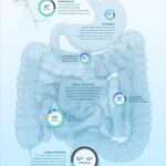 Your Friends Might Be Influencing Your Gut Microbiome: Study