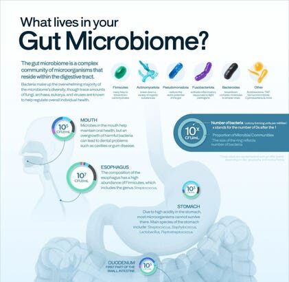Your Friends Might Be Influencing Your Gut Microbiome: Study