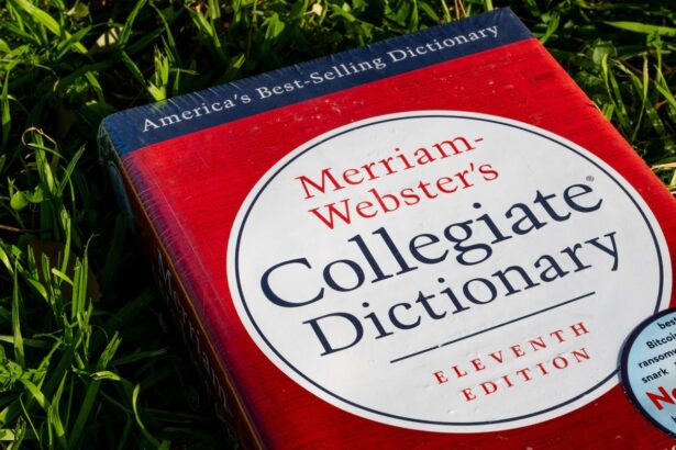 ‘Polarization’ Is Merriam-Webster’s Word of the Year for 2024