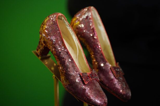 Dorothy’s Ruby Slippers From ‘The Wizard of Oz’ Sell for a Record-Breaking  Million