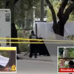 2 homeless people beaten to death in ‘unprovoked’ attack in Miami