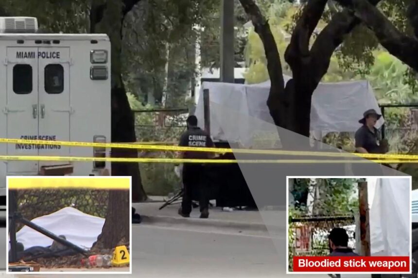 2 homeless people beaten to death in ‘unprovoked’ attack in Miami