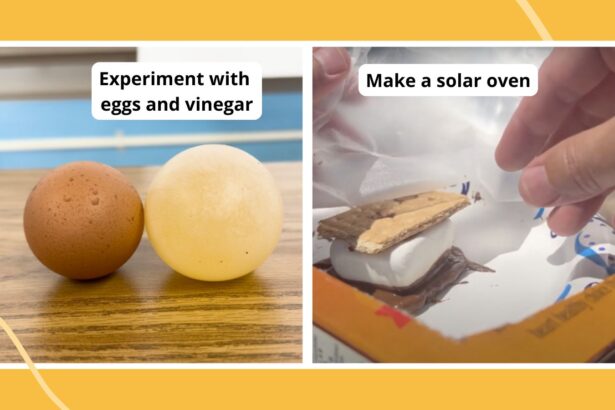 75 Best 6th Grade Science Fair Projects and Activities