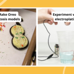 Collage of 7th grade science projects, including Oreo mitosis models and electroplating a coin