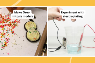 Collage of 7th grade science projects, including Oreo mitosis models and electroplating a coin