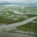 A third of the Arctic’s vast carbon sink now a source of emissions, study reveals