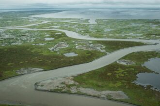 A third of the Arctic’s vast carbon sink now a source of emissions, study reveals