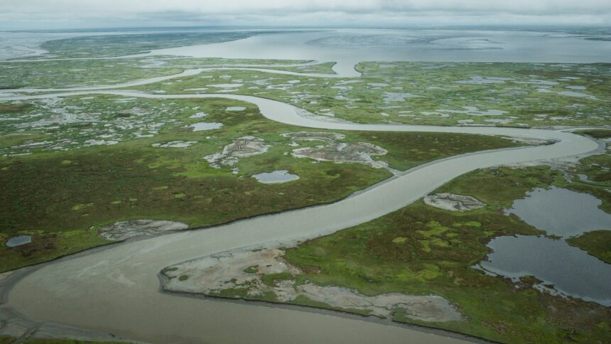 A third of the Arctic’s vast carbon sink now a source of emissions, study reveals